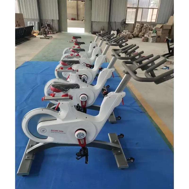 Professionele magnetische weer - Exercise Bike Magnetic Resistance recensie en prijs