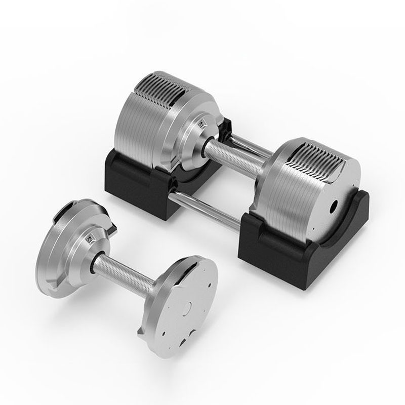 Verstelbare verzilverde dumbbe - Adjustable Dumbbell Pair 40Kg recensie en prijs